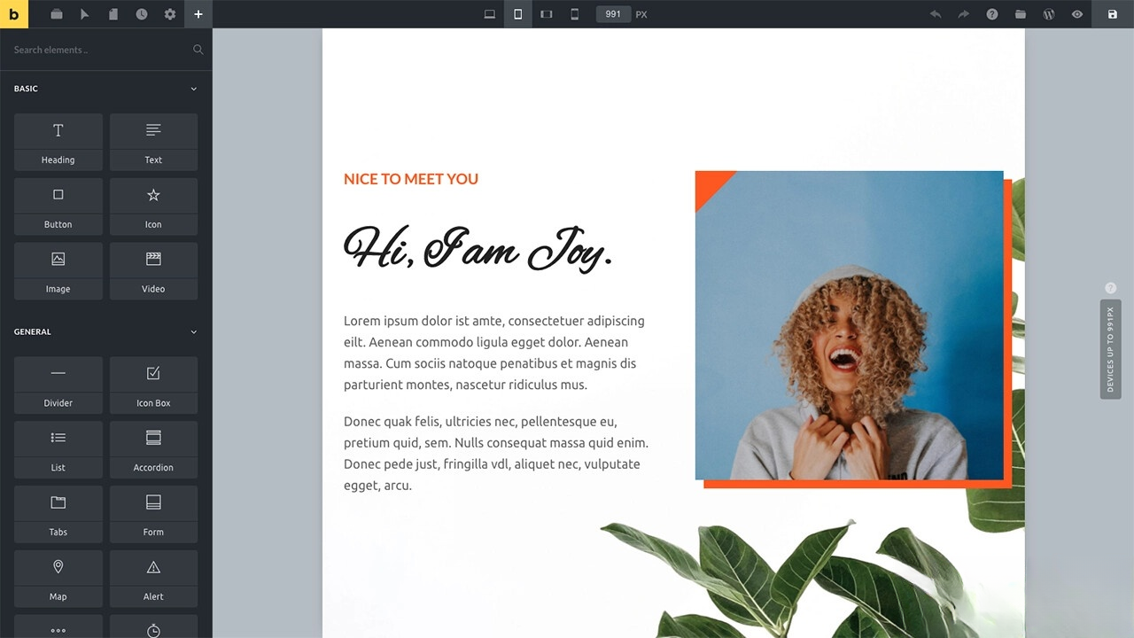 WordPress主题Bricks v1.9 破解版-乡甜网-郭猛农村淘宝