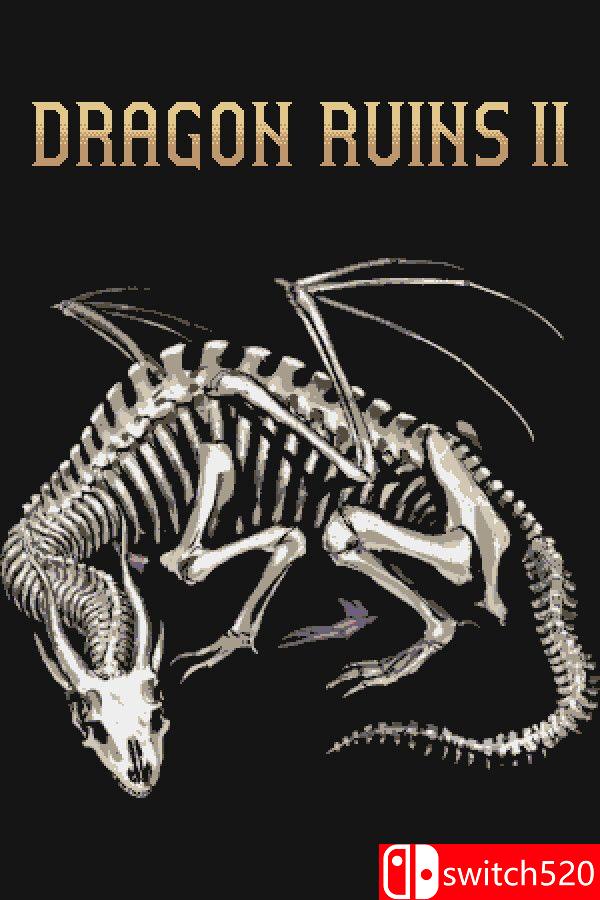 《龙遗秘境2（Dragon Ruins II）》v250701 [英文/日语]-乡甜网-郭猛农村淘宝