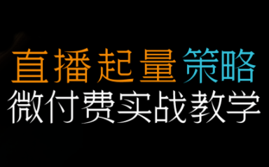半野老师·直播带货起量与微付费必学课视频号-乡甜网-郭猛农村淘宝