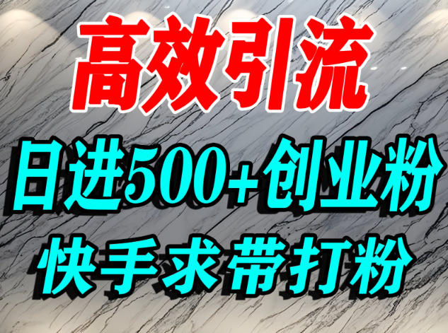 怎么打创业粉？快手求带视角精准引流创业粉，宝妈、学生群体日进500+精准流量-乡甜网-郭猛农村淘宝