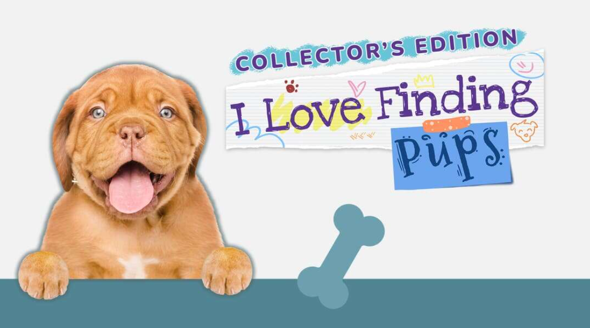 《我爱找小狗 I Love Finding Pups – Collectors Edition》Switch英文版NSP下载-乡甜网-郭猛农村淘宝